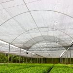 Solpack Agronet