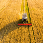 Carlos Alberto Arges Júnior revela como a agricultura regenerativa melhora a produtividade sem comprometer a saúde do solo.