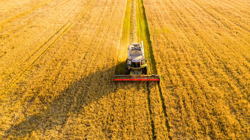 Carlos Alberto Arges Júnior revela como a agricultura regenerativa melhora a produtividade sem comprometer a saúde do solo.